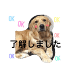 アリシアとメイと時々アゲハ（個別スタンプ：1）