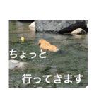 アリシアとメイと時々アゲハ（個別スタンプ：2）