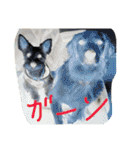 アリシアとメイと時々アゲハ（個別スタンプ：5）