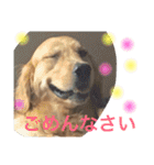 アリシアとメイと時々アゲハ（個別スタンプ：6）