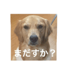 アリシアとメイと時々アゲハ（個別スタンプ：7）