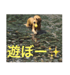 アリシアとメイと時々アゲハ（個別スタンプ：9）