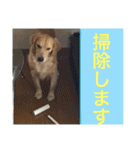 アリシアとメイと時々アゲハ（個別スタンプ：18）