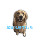 アリシアとメイと時々アゲハ（個別スタンプ：22）