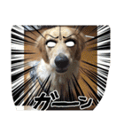 アリシアとメイと時々アゲハ（個別スタンプ：23）