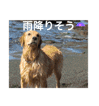 アリシアとメイと時々アゲハ（個別スタンプ：26）