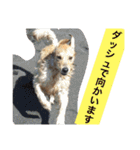 アリシアとメイと時々アゲハ（個別スタンプ：29）
