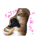 アリシアとメイと時々アゲハ（個別スタンプ：36）