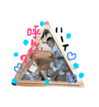 よちよち さくぴ（個別スタンプ：15）
