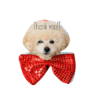 ILIOの看板犬（個別スタンプ：2）