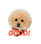 ILIOの看板犬（個別スタンプ：7）