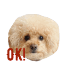 ILIOの看板犬（個別スタンプ：9）