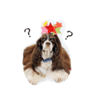 ILIOの看板犬（個別スタンプ：13）