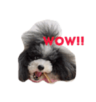 ILIOの看板犬（個別スタンプ：16）