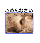 うめの1日（個別スタンプ：1）