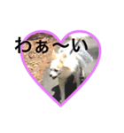うめの1日（個別スタンプ：4）