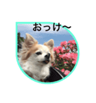 うめの1日（個別スタンプ：5）