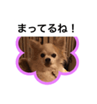 うめの1日（個別スタンプ：6）