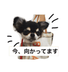 tan＆ume oku（個別スタンプ：2）