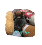 可愛いうさ4（個別スタンプ：1）