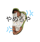 koharuruu（個別スタンプ：15）
