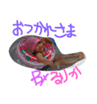るん作（個別スタンプ：1）
