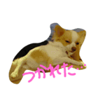 るん作（個別スタンプ：7）