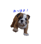 ぶるぶる日和（個別スタンプ：1）
