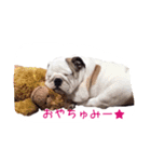 ぶるぶる日和（個別スタンプ：2）