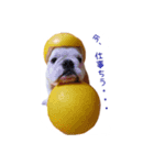 ぶるぶる日和（個別スタンプ：3）
