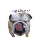ぶるぶる日和（個別スタンプ：4）