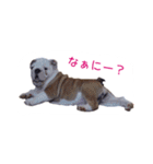 ぶるぶる日和（個別スタンプ：6）