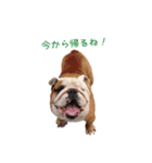 ぶるぶる日和（個別スタンプ：7）