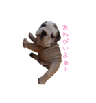 ぶるぶる日和（個別スタンプ：8）