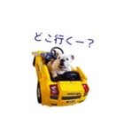 ぶるぶる日和（個別スタンプ：11）