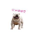 ぶるぶる日和（個別スタンプ：14）