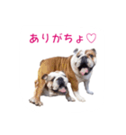 ぶるぶる日和（個別スタンプ：16）