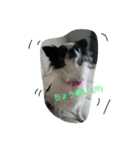 lovely'dog（個別スタンプ：4）