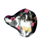 lovely'dog（個別スタンプ：5）