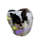lovely'dog（個別スタンプ：6）