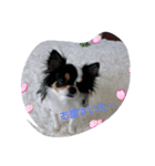 lovely'dog（個別スタンプ：7）