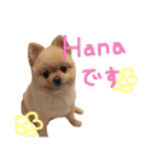 鈴木はなです♩ ♩（個別スタンプ：1）
