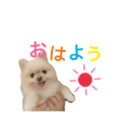 鈴木はなです♩ ♩（個別スタンプ：2）