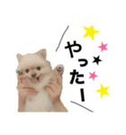 鈴木はなです♩ ♩（個別スタンプ：3）