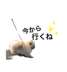 鈴木はなです♩ ♩（個別スタンプ：4）