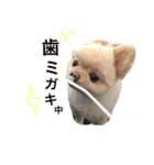鈴木はなです♩ ♩（個別スタンプ：5）