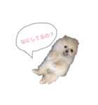 鈴木はなです♩ ♩（個別スタンプ：6）