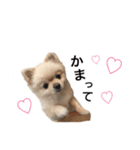 鈴木はなです♩ ♩（個別スタンプ：7）