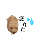 鈴木はなです♩ ♩（個別スタンプ：8）