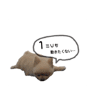 鈴木はなです♩ ♩（個別スタンプ：9）